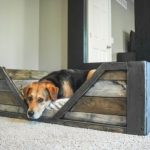 pallet furniture dog bed